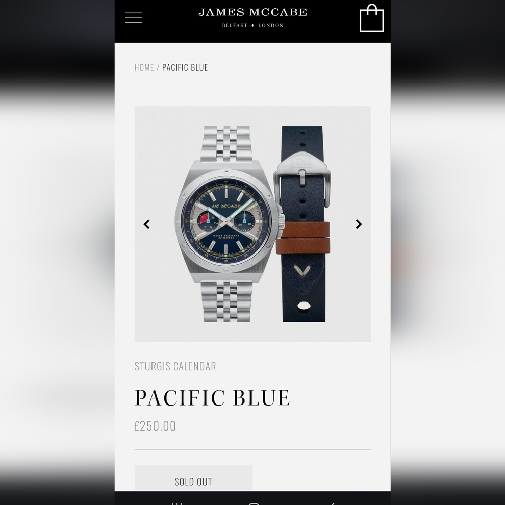 JAMES MCCABE Men's watch
